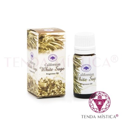 ÓLEO GREEN TREE 10ML WHITE SAGE