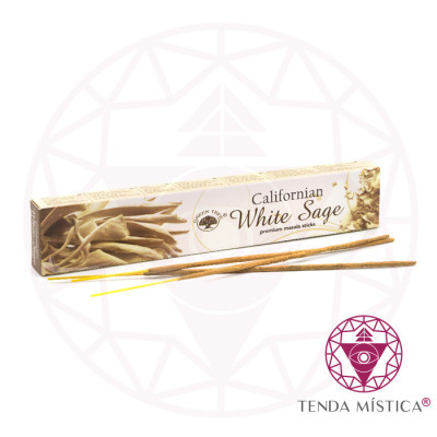 INCENSO GREEN TREE WHITE SAGE