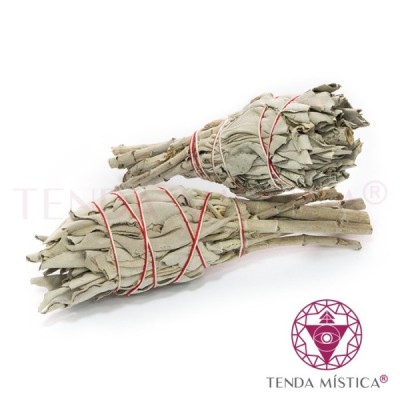 TOCHA DE SALVIA 