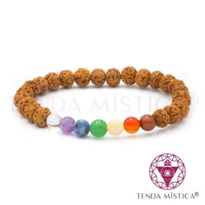 PULSEIRA RUDRA E PEDRA VARIOS 