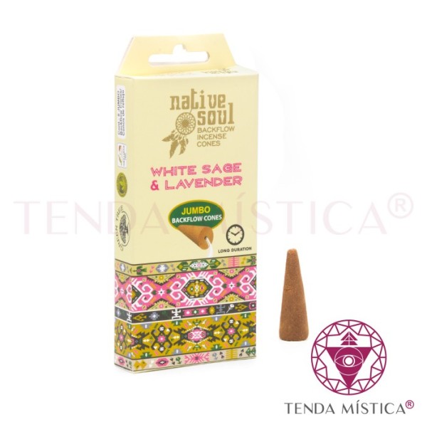Incenso Cone Refluxo Native Withe Sage