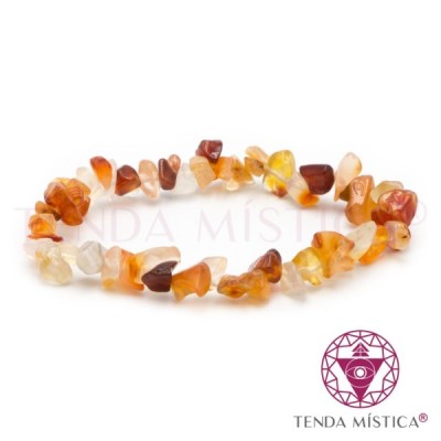 PULSEIRA CHIPS VARIAS