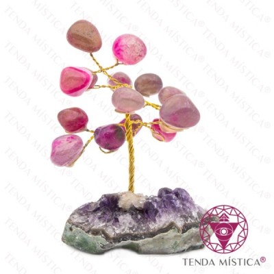 ARVORE AGATA ROSA 5 G