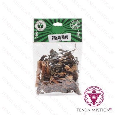 PINHÃO ROXO