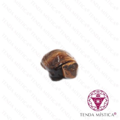 TARTARUGA OLHO TIGRE