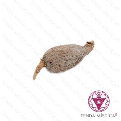 FAVA DE ATARE